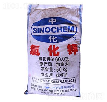 �Ȼ��-��(li��n)��