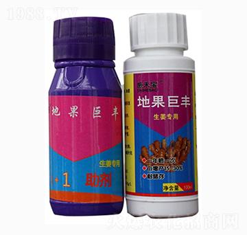 地果巨豐（組合）-施禾寶