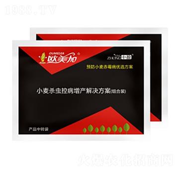 С���ز����a(ch��n)���� �W���� ��ӯ