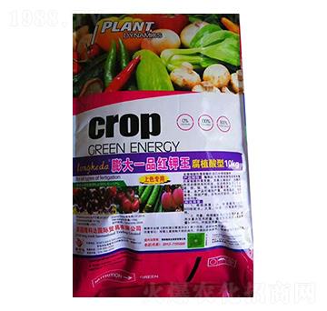 一品紅鉀王 隆科達(dá)