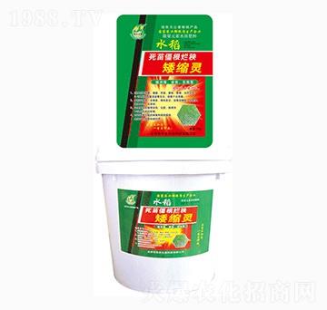 水稻死苗僵根爛秧矮縮靈-華杰生物