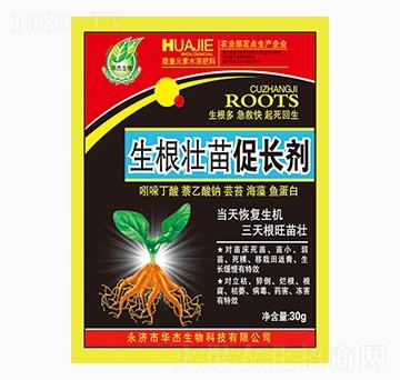 生根壯苗促長劑-華杰生物