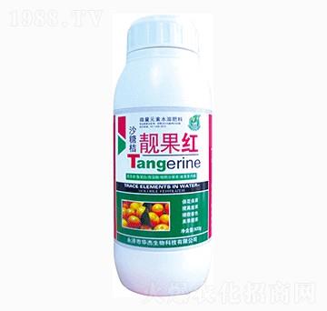 砂糖橘靚果紅-華杰生物