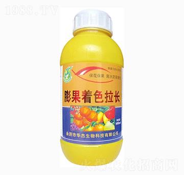 膨果著色拉長-華杰生物