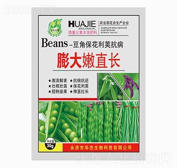 膨大嫩直長-華杰生物