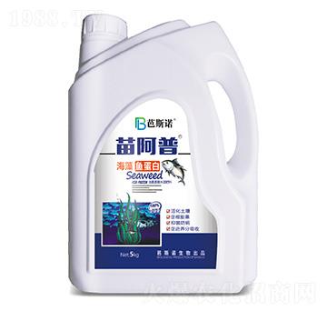 �����~����-�簢��-��˹�Z