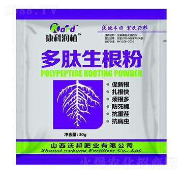 ���������� �ְ�ʘI(y��)