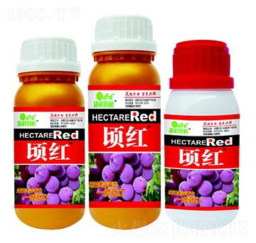 핼t �ְ�ʘI(y��)