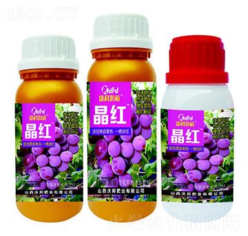 ���t �ְ�ʘI(y��)