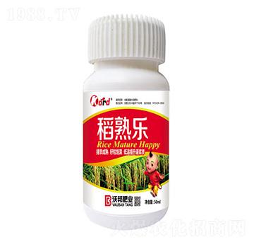 ���옷 �ְ�ʘI(y��)