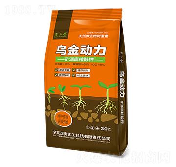 20kg������(d��ng)��-���W����