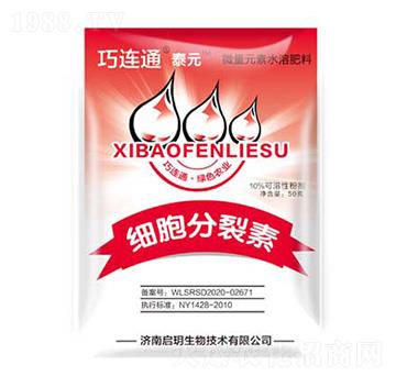 ���������� ����