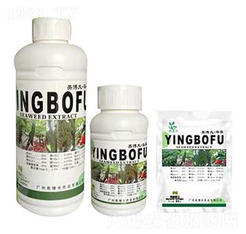 �����ʹ���Ԫ��ˮ�ܷ��� Ӣ����