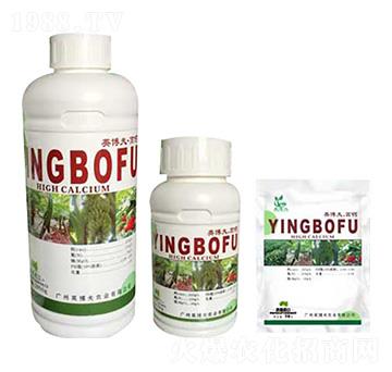 Ӣ������} Ӣ����