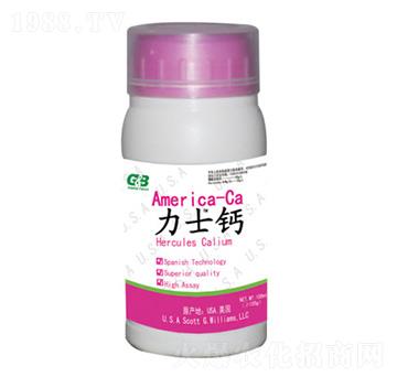 ľ�|(zh��)�Ǵ����w�}-��ʿ�}-���A��