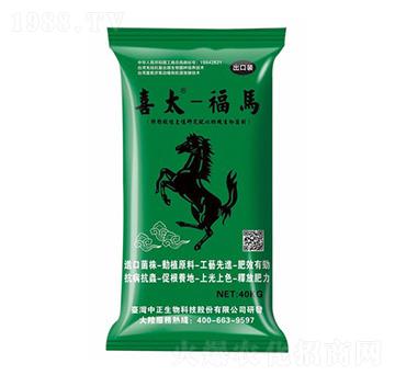 ���R-�_��ϲ̫-���A��