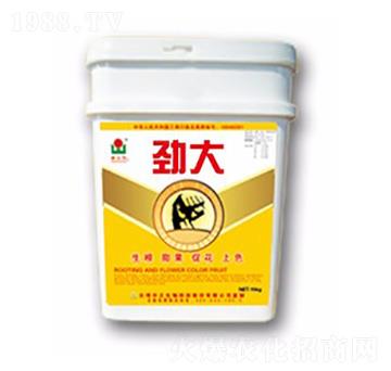 �Ŵ�-���A��