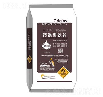 �}�V���F�\-��Ҽ��