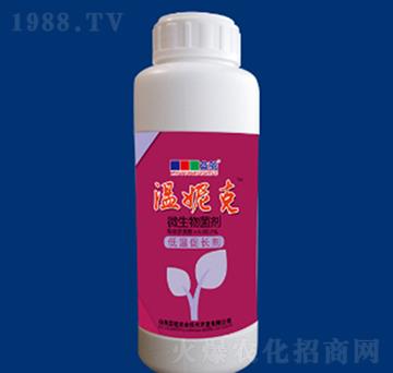 ΢�������-���ݿ�-�{��r�I(y��)