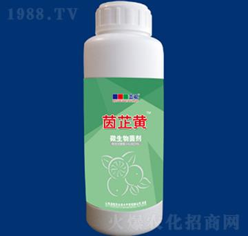 ΢�������-�����S-�{��r�I(y��)