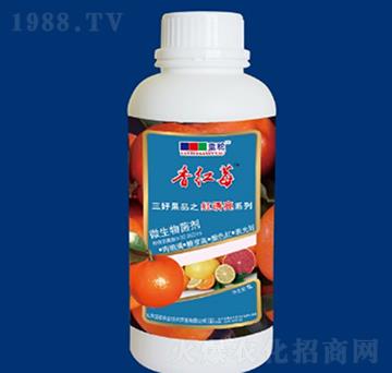 ΢�������-�t�T��-�{��r�I(y��)