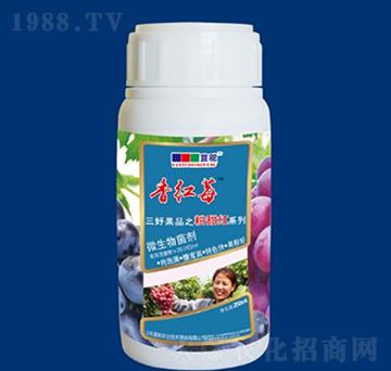 微生物菌劑-香紅莓素-藍(lán)駝農(nóng)業(yè)