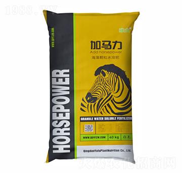 海藻顆粒水溶肥-加馬力-雅夫