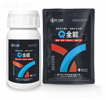 ȫ��-�~�m�߿�