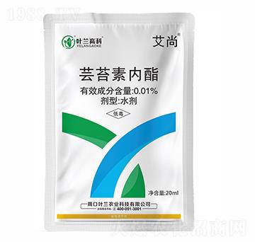 �|̦�؃���-����-�~�m�߿�