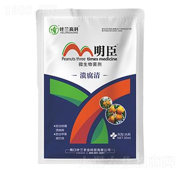 ������-����-�~�m�߿�