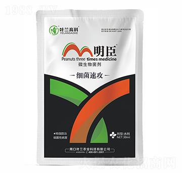 �����ٹ�-����-�~�m�߿�