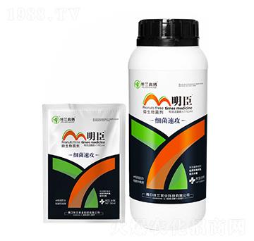 ΢�������-�����ٹ�-����-�~�m�߿�