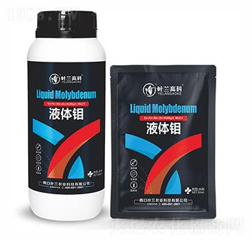 Һ�w�f-�~�m�߿�