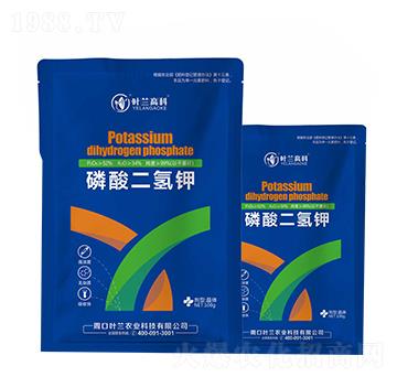 ���������{���b-�~�m�߿�