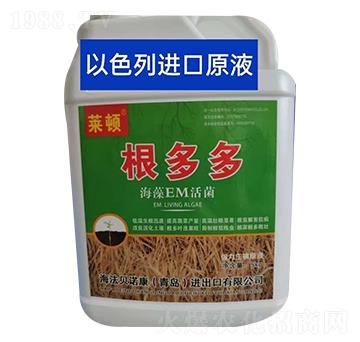 ����EM���-�����-�R�D