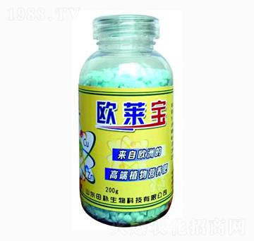 ֲ��I(y��ng)�B(y��ng)�ʚW�R��-���a(b��)