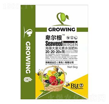 �������Ԫ��ˮ�ܷ���20-20-20+TE-������-����