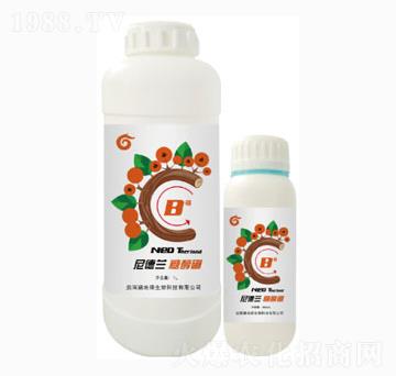 糖醇硼-尼德蘭-遍地綠