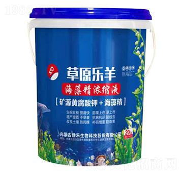 ���徫��sҺ-��ԭ����-�G������