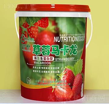 海藻魚(yú)蛋白型-草莓馬卡龍-木魚(yú)石生物