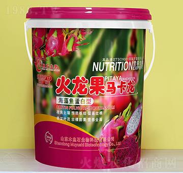 海藻魚(yú)蛋白型-火龍果馬卡龍-木魚(yú)石生物