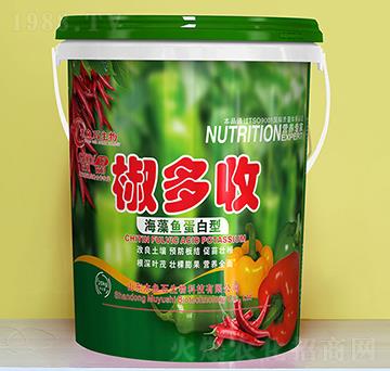 �����~������-������-ľ�~ʯ����