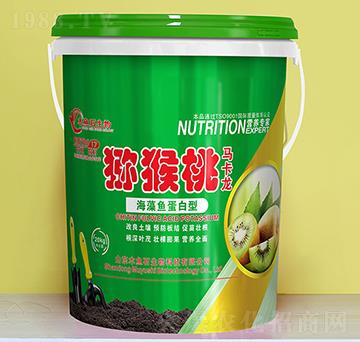 �����~������-�J�����R����-ľ�~ʯ����