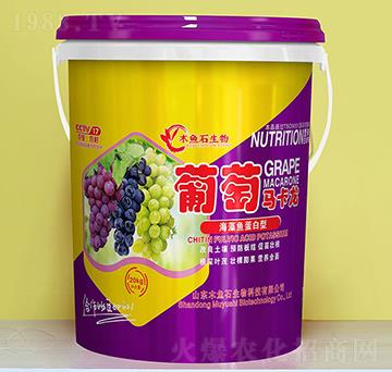 �����~������-�����R����-ľ�~ʯ����