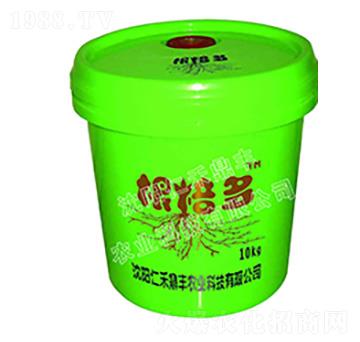 ������-�ʺ̶��S