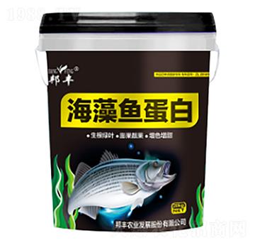 海藻魚蛋白-邦豐農業(yè)