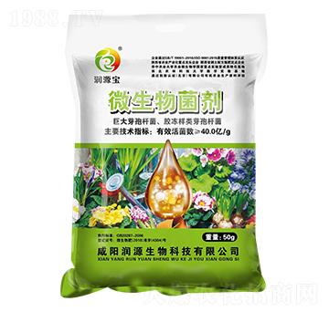 50g΢�������-��Դ��-��Դ����
