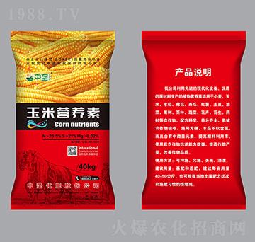 ���נI�B(y��ng)��-�Љ�