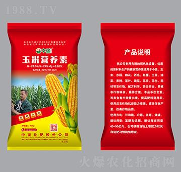 ���נI�B(y��ng)�أ��t����-�Љ�