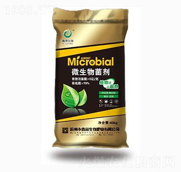 40kg΢�������-�Θs